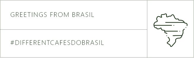 Greetings from Brasil